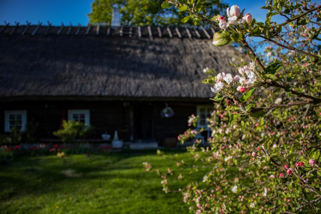 Kuusetuka Tourism Farm Villa Pahkla Eksteriør billede
